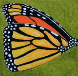 Monarchfalter