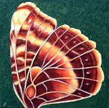 Landkärtchen