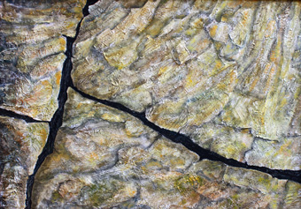 Riss, Technik / Material: mixed media auf Hartfaserplatte, 70 x 50 cm